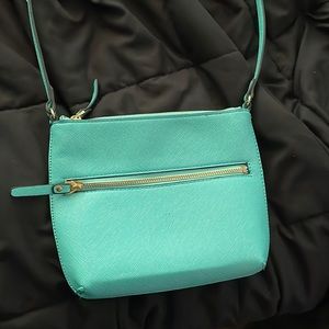 Turquoise purse
